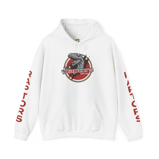 Unisex GO RAPTORS Hoodie