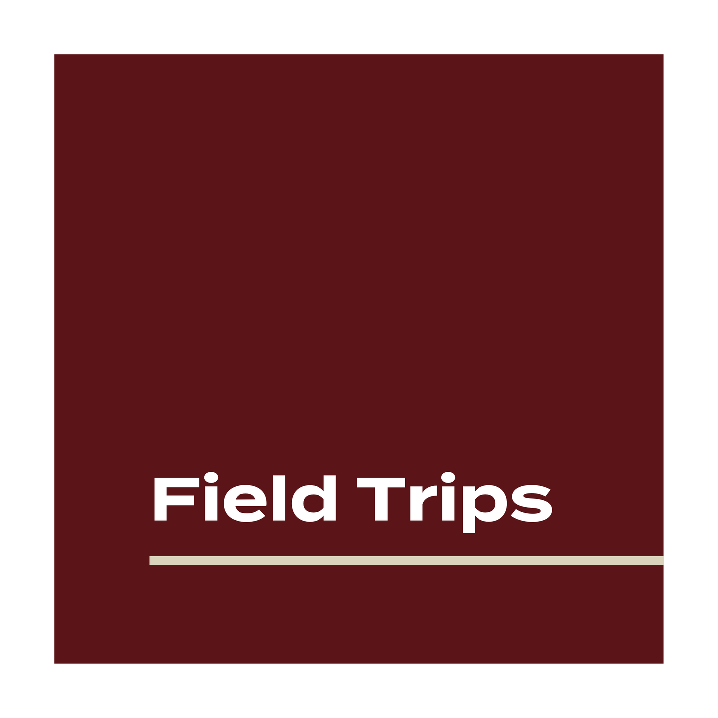 7th Grade Field Trip-Medieval Times