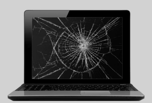 Repair / Replacement Fee