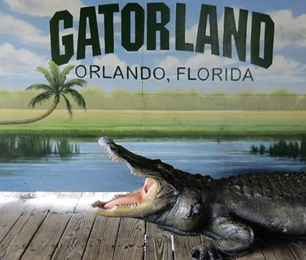 Pre-School Gatorland Orlando Visit