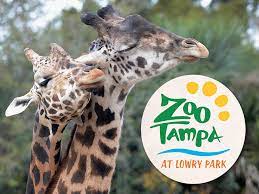 24-25 3rd Grade Field Trip to Tampa Zoo - PARENT TICKET (12762-1)